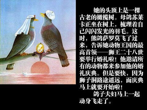犟龟 (03),绘本,绘本故事,绘本阅读,故事书,童书,图画书,课外阅读